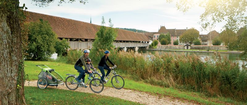 Velofahrt der Aare entlang